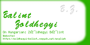 balint zoldhegyi business card